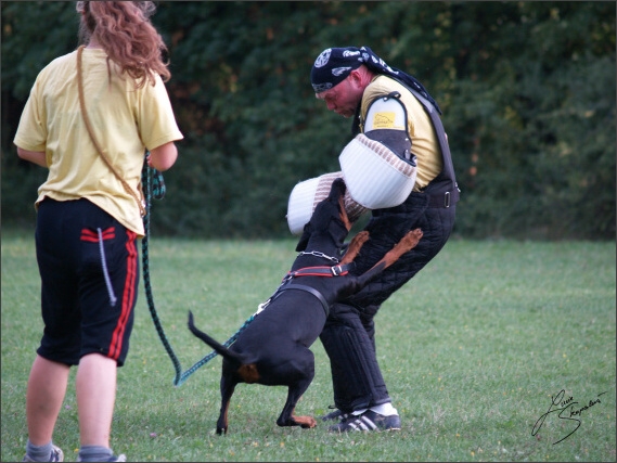 Summer training camp - Jelenec - 2007